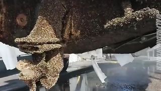 Using only a jetwash these shipyard workers spent hours blasting thousands