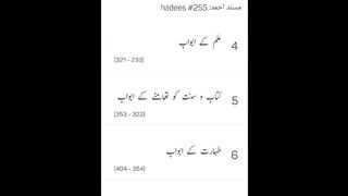 Musnad Ahmed Hadees No 255 - 258 _ Ahmad ibn Hambal