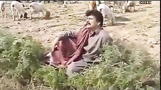 Lagday nay gayr takon piyaray piyaray