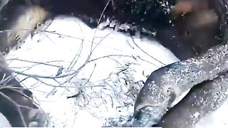 Local hunters rescue red deer from frozen Siberian river and give it a treat.