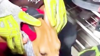 Rescuers remove can stuck in pet dog's mouth