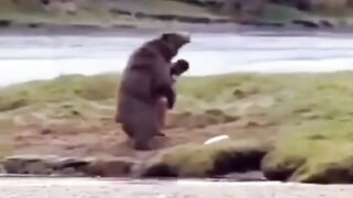 Humaine vs ours ????