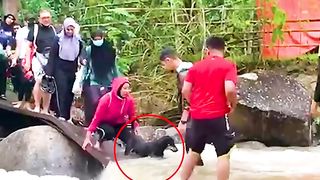 Hero passersby form human chain to rescue drowning dog on a waterfall.