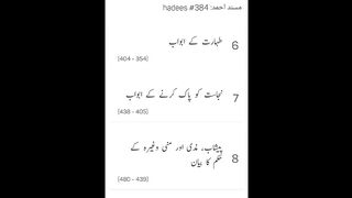 Musnad Ahmed Hadees No 384- 392 _ Ahmad ibn Hambal