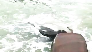 Get out of my swimming pool! Crazy buffalo charges fishermen.