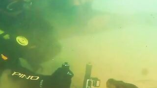 Diver has an incredible face to face encounter with giant anaconda in river.