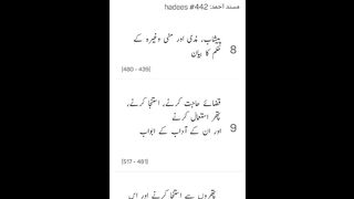 Musnad Ahmed Hadees No 442 - 445 _ Ahmad ibn Hambal