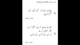 Musnad Ahmed Hadees No 446 - 454 _ Ahmad ibn Hambal