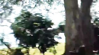 Almost blind elephant hilariously crashes into tourists...