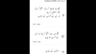 Musnad Ahmed Hadees No 480 - 488 _ Ahmad ibn Hambal