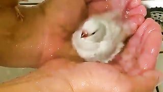 Adorable little birds taking a bath in their owner's hands...