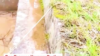 Smart dog rescues younger brother from pit using rope...