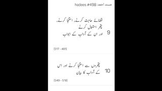 Musnad Ahmed Hadees No 498 - 509 _ Ahmad ibn Hambal