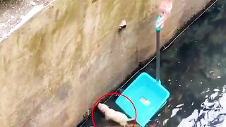Kind passerby rescues newborn puppy from canal in Malaysia!