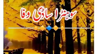 New vido tyku yad asi shona sadi wafa....