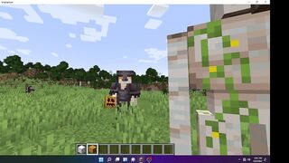 Minecraft 13