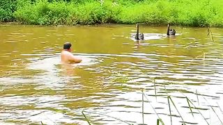 You picked the wrong pond, fool! Birdie strikes...