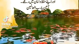 Dua ki fzelat