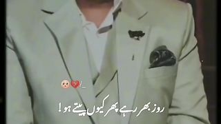 Shero shayari 2