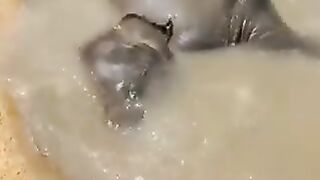Funny Cats, Dogs Video 32