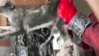 Funny Cats, Dogs Video 29