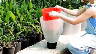 Grow any plants easily with these plant growing techniques!