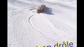 c'est un bon skieur