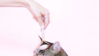 Best video 4