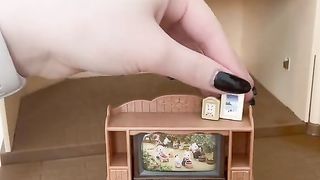 Doll house ????