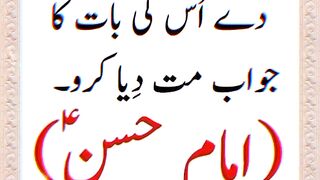 New video Urdu shayari WhatsApp status