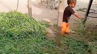 Chhota sa|| baby ghas ||katara