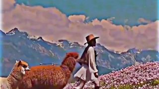 Zbrdst video