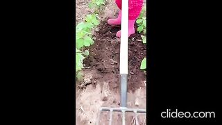 ЗА УСПЕШНА ГРАДИНА 3