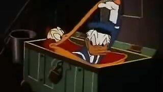 Donald duck cartoon video for kids.