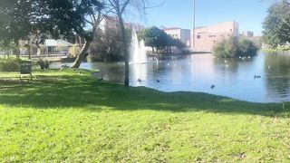 Visit to purtgaal