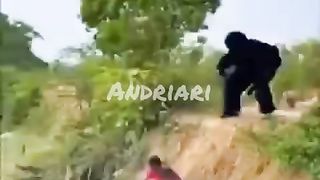 Dikira kingkong ???? ????