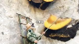 honey house making honey video