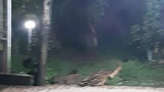 Suasana Vila desa pegunungan
