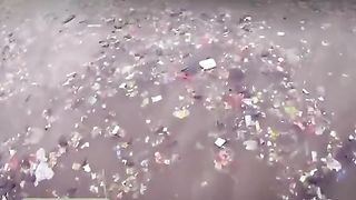 L'absurdité ecologique