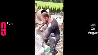 Tổng Hợp Những Khoảnh Khắc Hài Hước Của Năm ???????????? P22