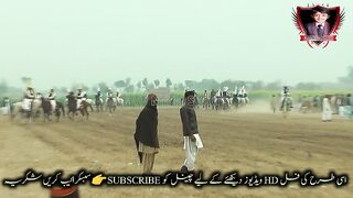 #Horses Riding part 7#jhamra#darbar#kaly#shah