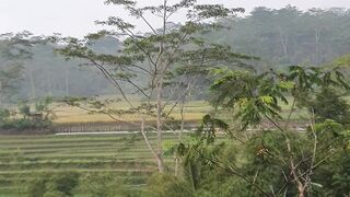 Village at Candiroto Parakan Indonesia