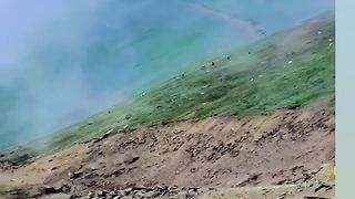 Nature 6