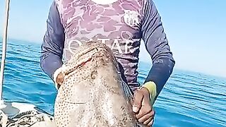 Big fish found