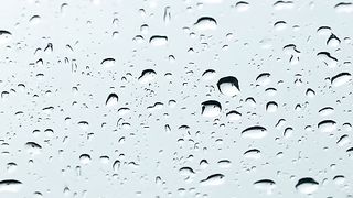 Rainn????