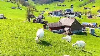 Amazing view of Nature