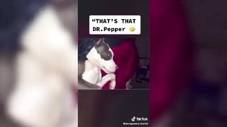 Tik Toks that got the teacher laughing ????????????‍????????‍???? 2