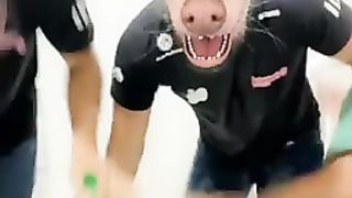 Fun????????????