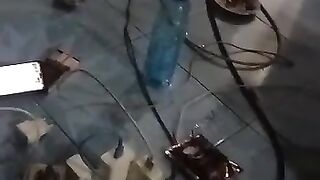 sing a song 2