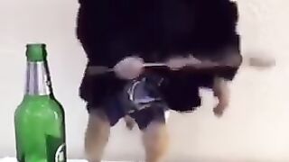 very funny 5